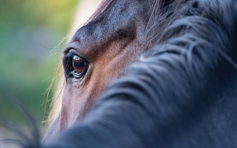 Best Eye Cream for Puffy Eyes and Bags: 10 Dermatologist Picks 2024