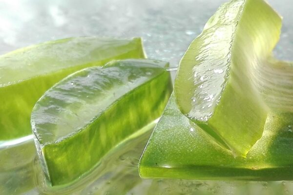 5 Science-Backed Aloe Vera Gel Benefits for Instant Sunburn Relief