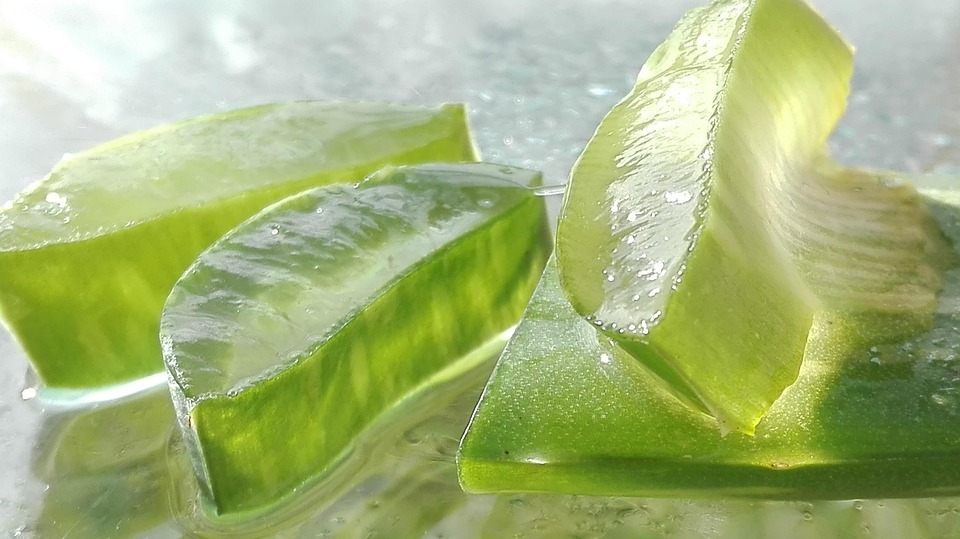 5 Science-Backed Aloe Vera Gel Benefits for Instant Sunburn Relief